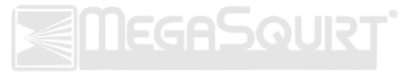 MegaSquirt